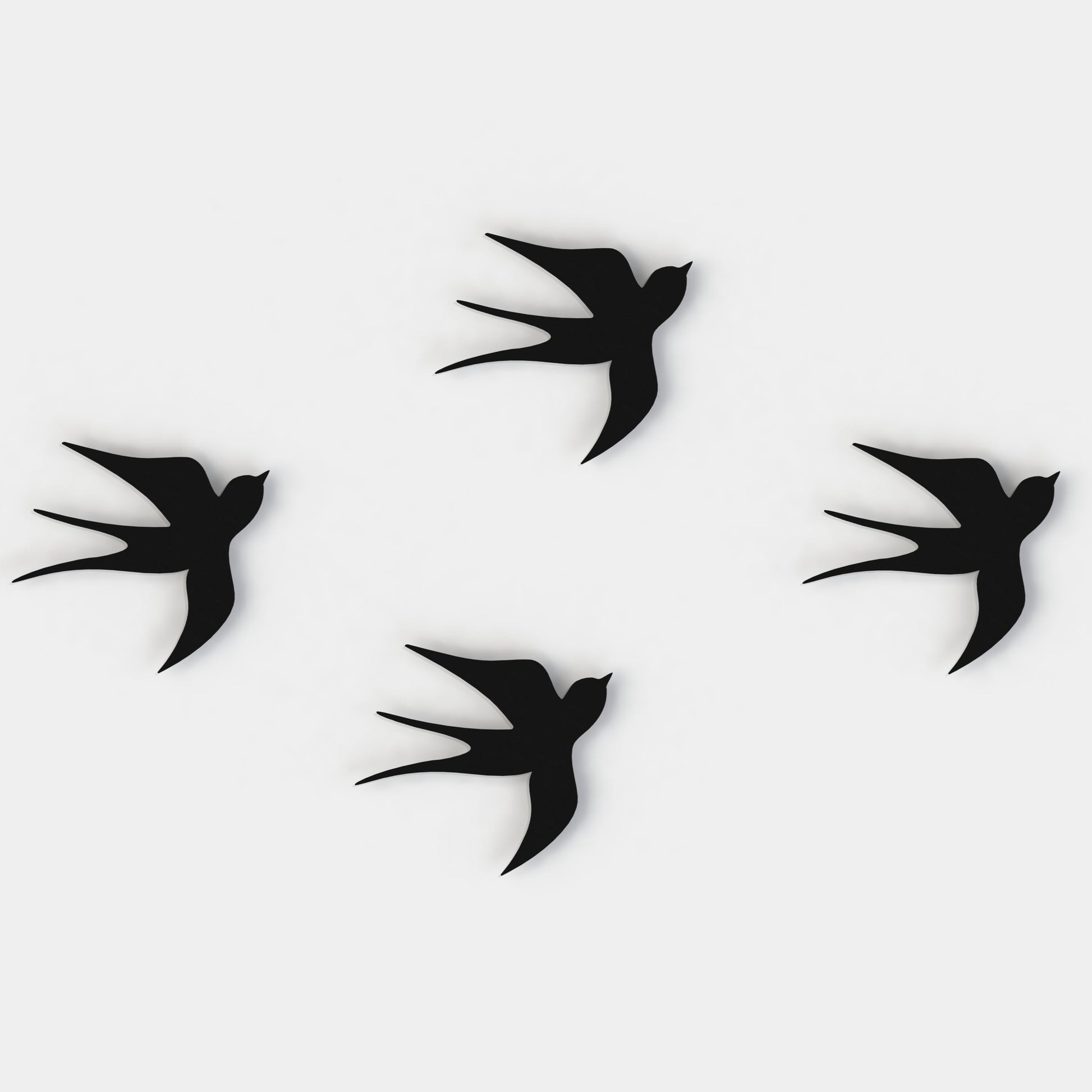 black swallows set of four on a white background